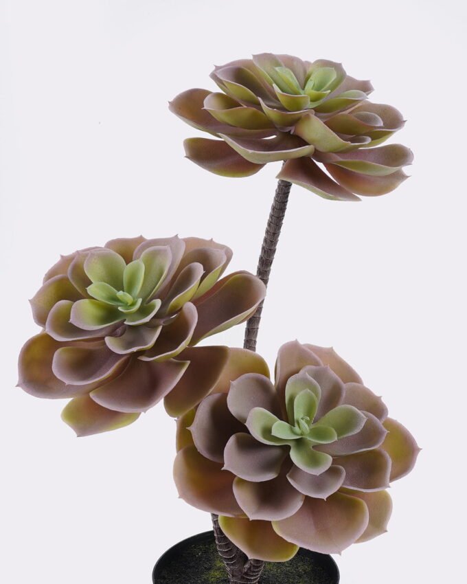 Artificial succulent 22*22*45cm Desert Plant in PP pot GS-02225001 2025SEP YeahFlower is one of Chinese leading OEM manufacturers and exporters , supplying the silk flowers, wholesale artificial trees