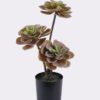 Artificial succulent 22*22*45cm Desert Plant in PP pot GS-02225001 2025SEP YeahFlower is one of Chinese leading OEM manufacturers and exporters , supplying the silk flowers, wholesale artificial trees