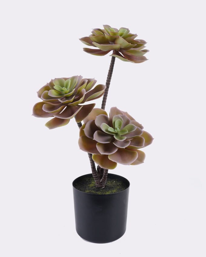 Artificial succulent 22*22*45cm Desert Plant in PP pot GS-02225001 2025SEP YeahFlower is one of Chinese leading OEM manufacturers and exporters , supplying the silk flowers, wholesale artificial trees