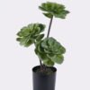 Artificial succulent 22*22*45cm Desert Plant in PP pot GS-02225001 2025SEP YeahFlower is one of Chinese leading OEM manufacturers and exporters , supplying the silk flowers, wholesale artificial trees