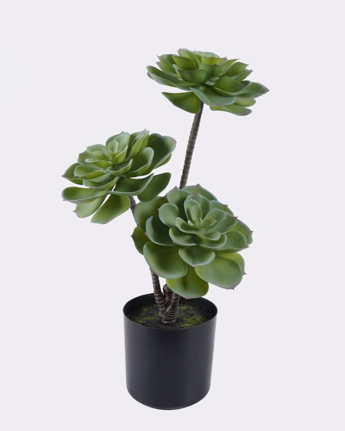 Artificial succulent 22*22*45cm Desert Plant in PP pot GS-02225001 2025SEP YeahFlower is one of Chinese leading OEM manufacturers and exporters , supplying the silk flowers, wholesale artificial trees