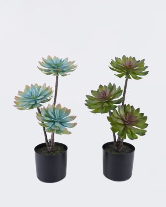 Artificial succulent 24*24*45cm Desert Plant in PP pot GS-02225002 2025SEP YeahFlower is one of Chinese leading OEM manufacturers and exporters , supplying the silk flowers, wholesale artificial trees Artificial succulent 24*24*45cm Desert Plant in PP pot GS-02225002 2025SEP YeahFlower is one of Chinese leading OEM manufacturers and exporters , supplying the silk flowers, wholesale artificial trees