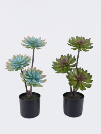 Artificial succulent 22*22*45cm Desert Plant in PP pot GS-02225001 2025SEP 3,000+ sqm showroom with thousands of artificial flowers, plants & trees ready for global sourcing.