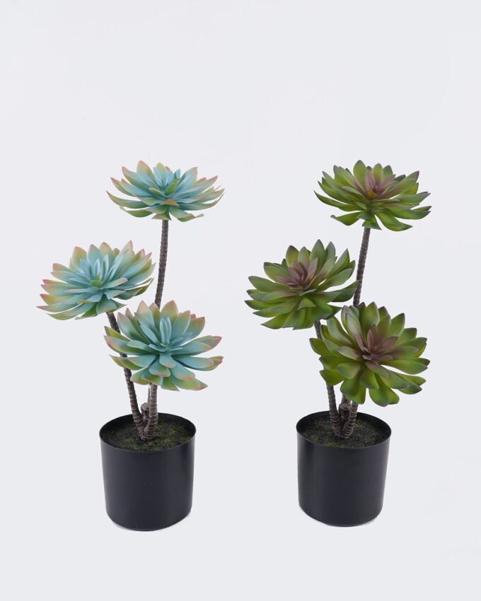 Artificial succulent 24*24*45cm Desert Plant in PP pot GS-02225002 2025SEP YeahFlower is one of Chinese leading OEM manufacturers and exporters , supplying the silk flowers, wholesale artificial trees