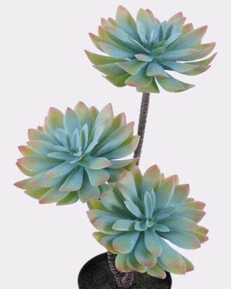 Artificial succulent 24*24*45cm Desert Plant in PP pot GS-02225002 2025SEP YeahFlower is one of Chinese leading OEM manufacturers and exporters , supplying the silk flowers, wholesale artificial trees Artificial succulent 24*24*45cm Desert Plant in PP pot GS-02225002 2025SEP YeahFlower is one of Chinese leading OEM manufacturers and exporters , supplying the silk flowers, wholesale artificial trees