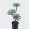 Artificial succulent 24*24*45cm Desert Plant in PP pot GS-02225002 2025SEP YeahFlower is one of Chinese leading OEM manufacturers and exporters , supplying the silk flowers, wholesale artificial trees