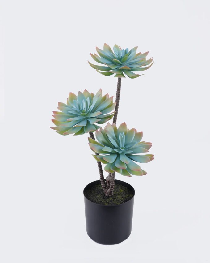 Artificial succulent 24*24*45cm Desert Plant in PP pot GS-02225002 2025SEP YeahFlower is one of Chinese leading OEM manufacturers and exporters , supplying the silk flowers, wholesale artificial trees