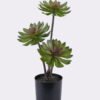 Artificial succulent 24*24*45cm Desert Plant in PP pot GS-02225002 2025SEP YeahFlower is one of Chinese leading OEM manufacturers and exporters , supplying the silk flowers, wholesale artificial trees
