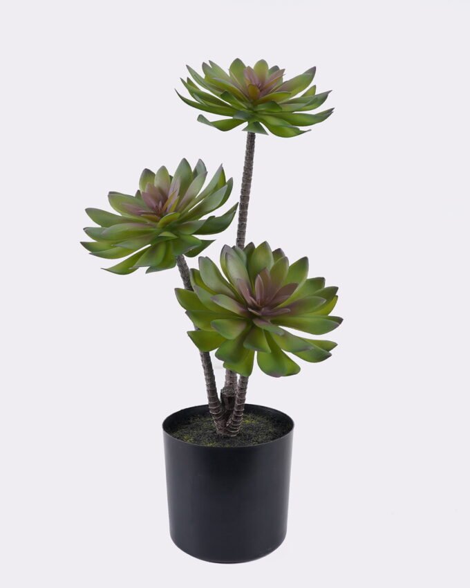 Artificial succulent 24*24*45cm Desert Plant in PP pot GS-02225002 2025SEP YeahFlower is one of Chinese leading OEM manufacturers and exporters , supplying the silk flowers, wholesale artificial trees