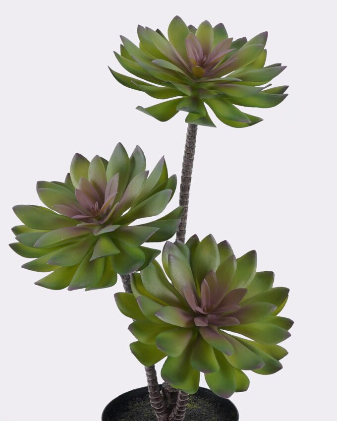 Artificial succulent 24*24*45cm Desert Plant in PP pot GS-02225002 2025SEP YeahFlower is one of Chinese leading OEM manufacturers and exporters , supplying the silk flowers, wholesale artificial trees