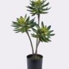 Artificial succulent Desert Plant in PP pot GS-02225003-G1_3 Artificial succulent 28*28*50cm Desert Plant in PP pot GS-02225003-G1 2025SEP YeahFlower is one of Chinese leading OEM manufacturers and exporters , supplying the silk flowers, wholesale artificial trees