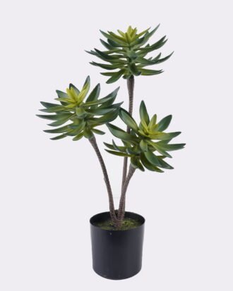 Artificial succulent 28*28*50cm Desert Plant in PP pot GS-02225003-G1 2025SEP YeahFlower is one of Chinese leading OEM manufacturers and exporters , supplying the silk flowers, wholesale artificial trees Artificial succulent 28*28*50cm Desert Plant in PP pot GS-02225003-G1 2025SEP YeahFlower is one of Chinese leading OEM manufacturers and exporters , supplying the silk flowers, wholesale artificial trees