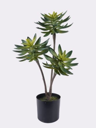 Artificial succulent 16*16*35cm Desert Plant in Cement pot GS-02225004 2025SEP 3,000+ sqm showroom with thousands of artificial flowers, plants & trees ready for global sourcing.