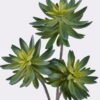 Artificial succulent Desert Plant in PP pot GS-02225003-G1_5 Artificial succulent 28*28*50cm Desert Plant in PP pot GS-02225003-G1 2025SEP YeahFlower is one of Chinese leading OEM manufacturers and exporters , supplying the silk flowers, wholesale artificial trees