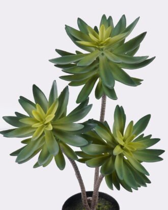 Artificial succulent 28*28*50cm Desert Plant in PP pot GS-02225003-G1 2025SEP YeahFlower is one of Chinese leading OEM manufacturers and exporters , supplying the silk flowers, wholesale artificial trees Artificial succulent 28*28*50cm Desert Plant in PP pot GS-02225003-G1 2025SEP YeahFlower is one of Chinese leading OEM manufacturers and exporters , supplying the silk flowers, wholesale artificial trees