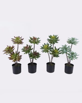 Artificial succulent 28*28*50cm Desert Plant in PP pot GS-02225003 2025SEP YeahFlower is one of Chinese leading OEM manufacturers and exporters , supplying the silk flowers, wholesale artificial trees Artificial succulent 28*28*50cm Desert Plant in PP pot GS-02225003 2025SEP YeahFlower is one of Chinese leading OEM manufacturers and exporters , supplying the silk flowers, wholesale artificial trees