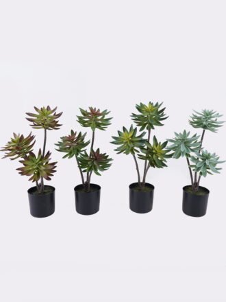 Artificial succulent 28*28*50cm Desert Plant in PP pot GS-02225003-G1 2025SEP 3,000+ sqm showroom with thousands of artificial flowers, plants & trees ready for global sourcing.