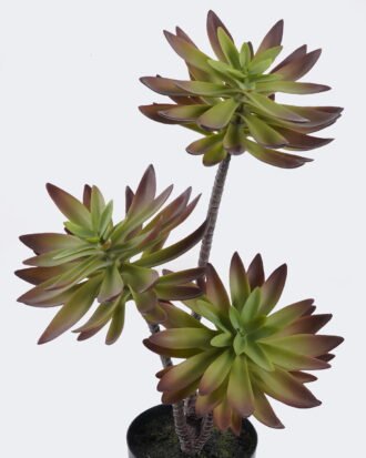 Artificial succulent 28*28*50cm Desert Plant in PP pot GS-02225003 2025SEP YeahFlower is one of Chinese leading OEM manufacturers and exporters , supplying the silk flowers, wholesale artificial trees Artificial succulent 28*28*50cm Desert Plant in PP pot GS-02225003 2025SEP YeahFlower is one of Chinese leading OEM manufacturers and exporters , supplying the silk flowers, wholesale artificial trees