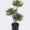 Artificial succulent Desert Plant in PP pot GS-02225003_3 Artificial succulent 28*28*50cm Desert Plant in PP pot GS-02225003 2025SEP YeahFlower is one of Chinese leading OEM manufacturers and exporters , supplying the silk flowers, wholesale artificial trees