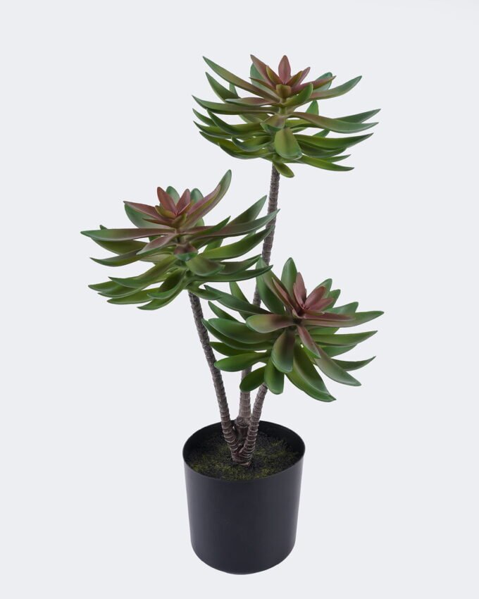 Artificial succulent Desert Plant in PP pot GS-02225003_3 Artificial succulent 28*28*50cm Desert Plant in PP pot GS-02225003 2025SEP YeahFlower is one of Chinese leading OEM manufacturers and exporters , supplying the silk flowers, wholesale artificial trees