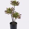 Artificial succulent Desert Plant in PP pot GS-02225003_4 Artificial succulent 28*28*50cm Desert Plant in PP pot GS-02225003 2025SEP YeahFlower is one of Chinese leading OEM manufacturers and exporters , supplying the silk flowers, wholesale artificial trees