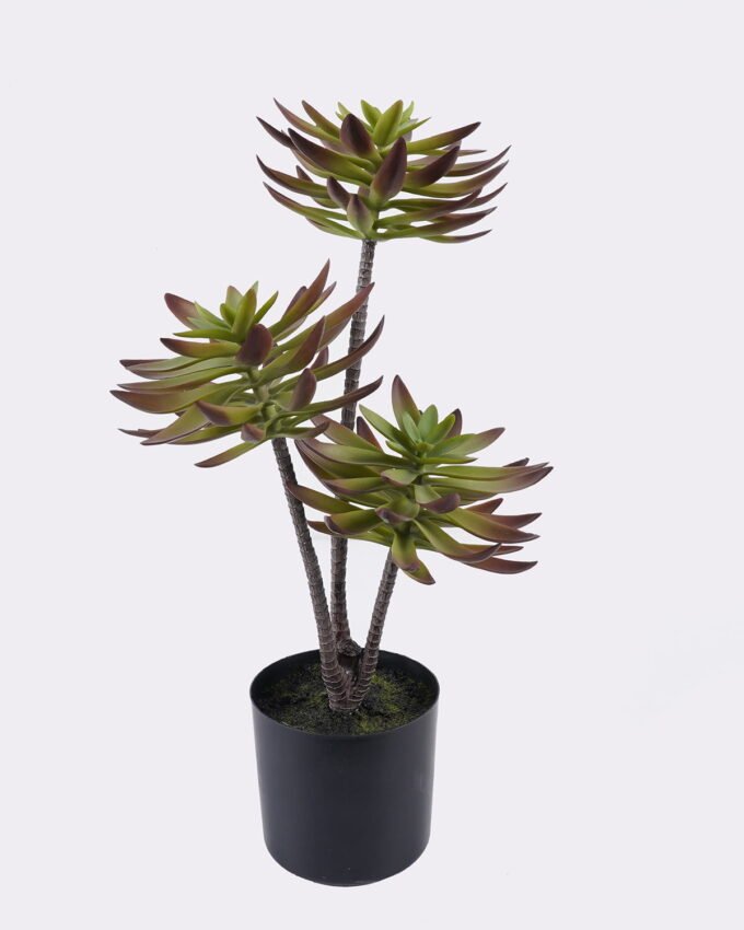Artificial succulent Desert Plant in PP pot GS-02225003_4 Artificial succulent 28*28*50cm Desert Plant in PP pot GS-02225003 2025SEP YeahFlower is one of Chinese leading OEM manufacturers and exporters , supplying the silk flowers, wholesale artificial trees