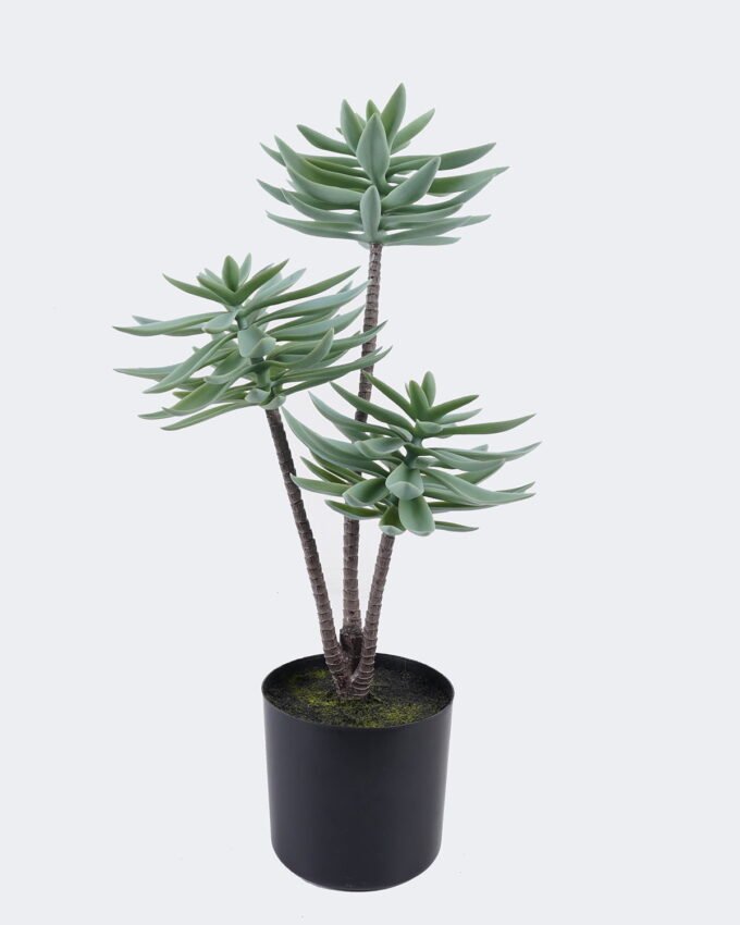 Artificial succulent Desert Plant in PP pot GS-02225003_5 Artificial succulent 28*28*50cm Desert Plant in PP pot GS-02225003 2025SEP YeahFlower is one of Chinese leading OEM manufacturers and exporters , supplying the silk flowers, wholesale artificial trees
