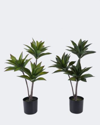 Artificial succulent 33*33*60cm Desert Plant in PP pot GS-02225005 2025SEP YeahFlower is one of Chinese leading OEM manufacturers and exporters , supplying the silk flowers, wholesale artificial trees Artificial succulent 33*33*60cm Desert Plant in PP pot GS-02225005 2025SEP YeahFlower is one of Chinese leading OEM manufacturers and exporters , supplying the silk flowers, wholesale artificial trees