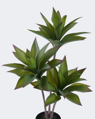 Artificial succulent 33*33*60cm Desert Plant in PP pot GS-02225005 2025SEP YeahFlower is one of Chinese leading OEM manufacturers and exporters , supplying the silk flowers, wholesale artificial trees Artificial succulent 33*33*60cm Desert Plant in PP pot GS-02225005 2025SEP YeahFlower is one of Chinese leading OEM manufacturers and exporters , supplying the silk flowers, wholesale artificial trees