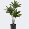 Artificial succulent Desert Plant in PP pot GS-02225005_3 Artificial succulent 33*33*60cm Desert Plant in PP pot GS-02225005 2025SEP YeahFlower is one of Chinese leading OEM manufacturers and exporters , supplying the silk flowers, wholesale artificial trees