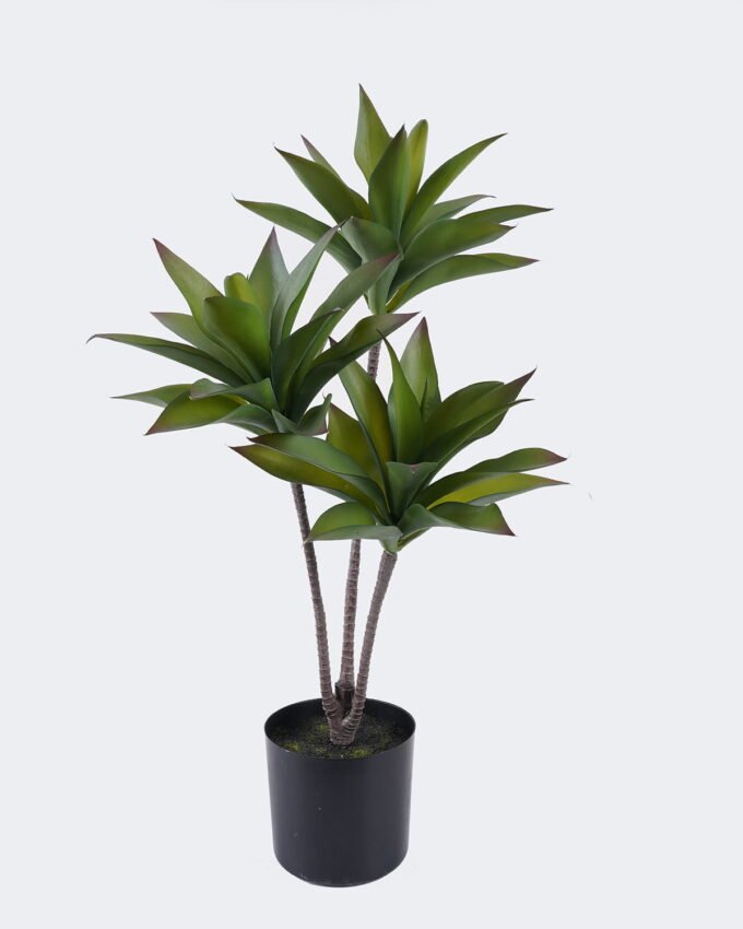 Artificial succulent Desert Plant in PP pot GS-02225005_3 Artificial succulent 33*33*60cm Desert Plant in PP pot GS-02225005 2025SEP YeahFlower is one of Chinese leading OEM manufacturers and exporters , supplying the silk flowers, wholesale artificial trees