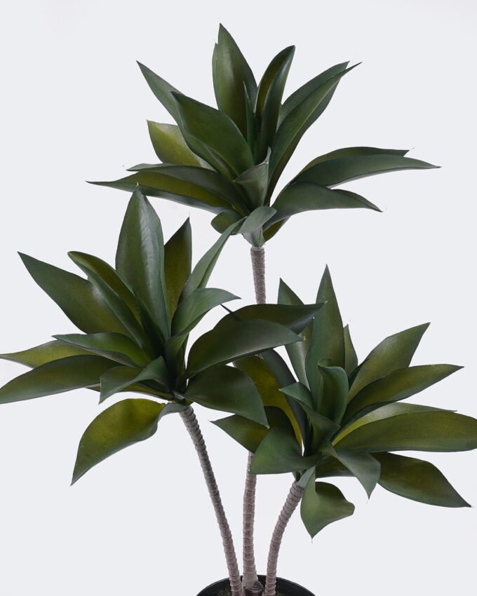 Artificial succulent Desert Plant in PP pot GS-02225005_5 Artificial succulent 33*33*60cm Desert Plant in PP pot GS-02225005 2025SEP YeahFlower is one of Chinese leading OEM manufacturers and exporters , supplying the silk flowers, wholesale artificial trees