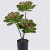 Artificial succulent 27*27*50cm Desert Plant in PP pot GS-02225006-G2 2025SEP YeahFlower is one of Chinese leading OEM manufacturers and exporters , supplying the silk flowers, wholesale artificial trees