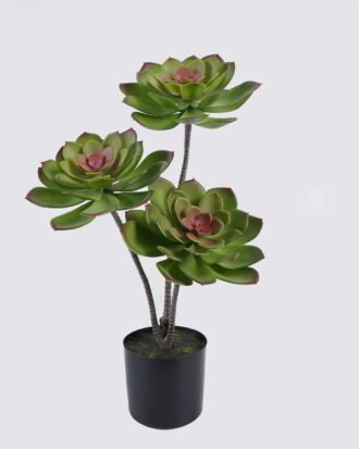 Artificial succulent 27*27*50cm Desert Plant in PP pot GS-02225006-G2 2025SEP YeahFlower is one of Chinese leading OEM manufacturers and exporters , supplying the silk flowers, wholesale artificial trees