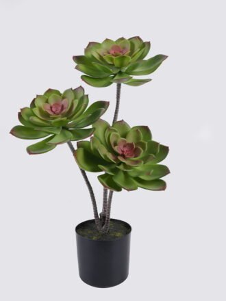 Artificial succulent 27*27*50cm Desert Plant in PP pot GS-02225006 2025SEP 3,000+ sqm showroom with thousands of artificial flowers, plants & trees ready for global sourcing.