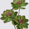 Artificial succulent 27*27*50cm Desert Plant in PP pot GS-02225006-G2 2025SEP YeahFlower is one of Chinese leading OEM manufacturers and exporters , supplying the silk flowers, wholesale artificial trees