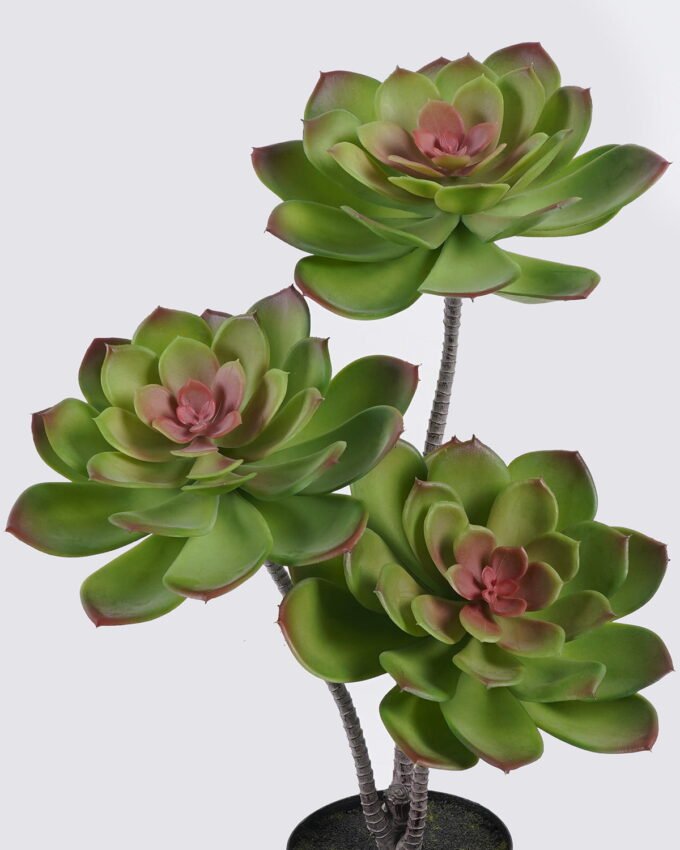 Artificial succulent 27*27*50cm Desert Plant in PP pot GS-02225006-G2 2025SEP YeahFlower is one of Chinese leading OEM manufacturers and exporters , supplying the silk flowers, wholesale artificial trees
