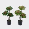 Artificial succulent 27*27*50cm Desert Plant in PP pot GS-02225006 2025SEP YeahFlower is one of Chinese leading OEM manufacturers and exporters , supplying the silk flowers, wholesale artificial trees