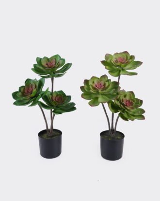 Artificial succulent 27*27*50cm Desert Plant in PP pot GS-02225006 2025SEP YeahFlower is one of Chinese leading OEM manufacturers and exporters , supplying the silk flowers, wholesale artificial trees Artificial succulent 27*27*50cm Desert Plant in PP pot GS-02225006 2025SEP YeahFlower is one of Chinese leading OEM manufacturers and exporters , supplying the silk flowers, wholesale artificial trees
