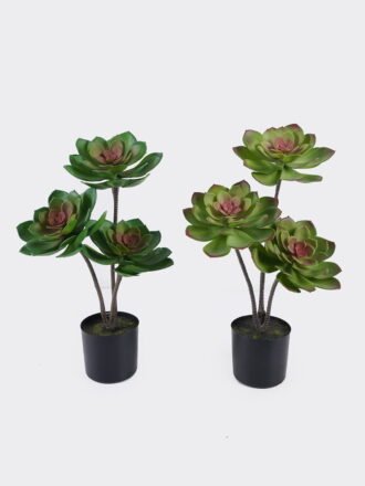 Artificial succulent 33*33*60cm Desert Plant in PP pot GS-02225005 2025SEP 3,000+ sqm showroom with thousands of artificial flowers, plants & trees ready for global sourcing.