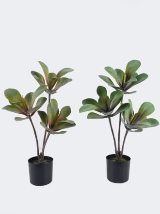 Artificial succulent 22*22*50cm Desert Plant in PP pot GS-02225008 2025SEP 3,000+ sqm showroom with thousands of artificial flowers, plants & trees ready for global sourcing.