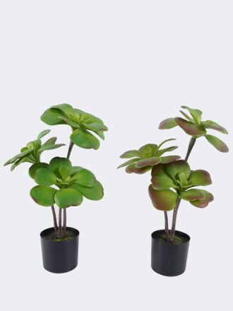 Artificial succulent 33*33*58cm Desert Plant in PP pot GS-02225007 2025SEP 3,000+ sqm showroom with thousands of artificial flowers, plants & trees ready for global sourcing.