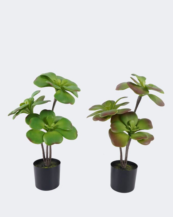 Artificial succulent 22*22*50cm Desert Plant in PP pot GS-02225008 2025SEP YeahFlower is one of Chinese leading OEM manufacturers and exporters , supplying the silk flowers, wholesale artificial trees