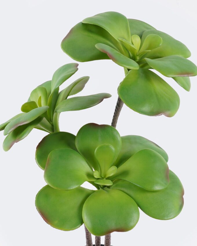 Artificial succulent 22*22*50cm Desert Plant in PP pot GS-02225008 2025SEP YeahFlower is one of Chinese leading OEM manufacturers and exporters , supplying the silk flowers, wholesale artificial trees