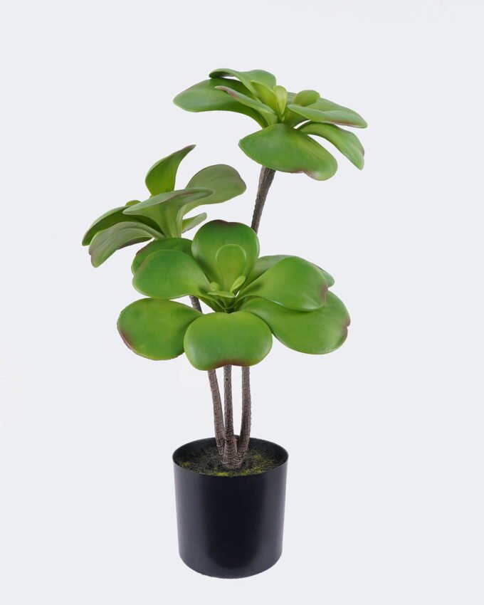 Artificial succulent 22*22*50cm Desert Plant in PP pot GS-02225008 2025SEP YeahFlower is one of Chinese leading OEM manufacturers and exporters , supplying the silk flowers, wholesale artificial trees