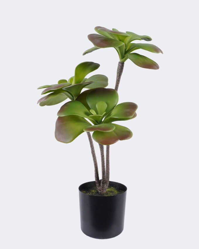 Artificial succulent 22*22*50cm Desert Plant in PP pot GS-02225008 2025SEP YeahFlower is one of Chinese leading OEM manufacturers and exporters , supplying the silk flowers, wholesale artificial trees