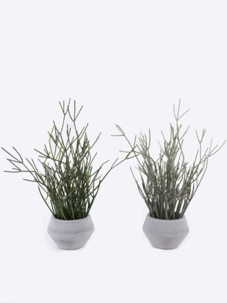 Artificial succulent 22*22*50cm Desert Plant in PP pot GS-02225008 2025SEP 3,000+ sqm showroom with thousands of artificial flowers, plants & trees ready for global sourcing.