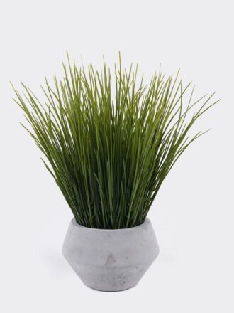 Artificial succulent 12*12*32cm Desert Plant in Cement pot GS-02225010 2025SEP 3,000+ sqm showroom with thousands of artificial flowers, plants & trees ready for global sourcing.