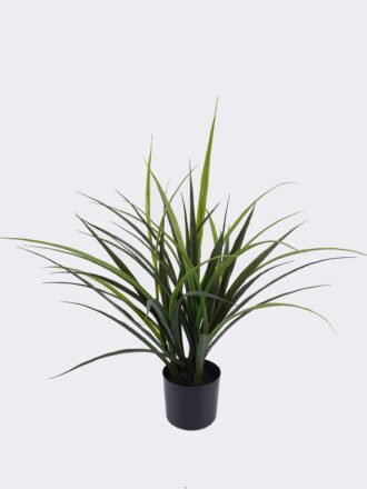 Artificial succulent 36*36*43cm Desert Plant in Cement pot GS-02225018 2025SEP 3,000+ sqm showroom with thousands of artificial flowers, plants & trees ready for global sourcing.