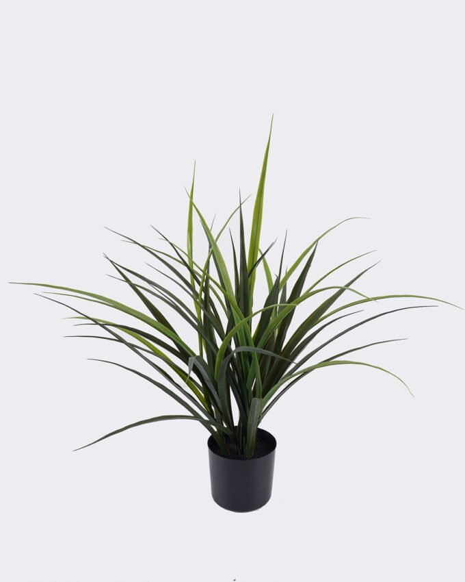 Artificial succulent 43*43*60cm Grass in PP pot GS-02225017 2025SEP YeahFlower is one of Chinese leading OEM manufacturers and exporters , supplying the silk flowers, wholesale artificial trees